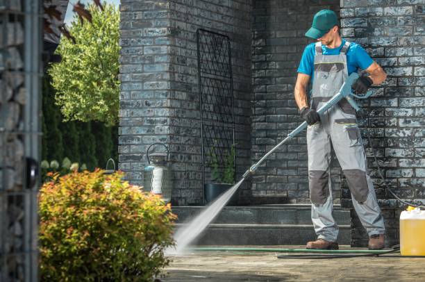 Best Solar Panel Cleaning  in Forestbrook, SC