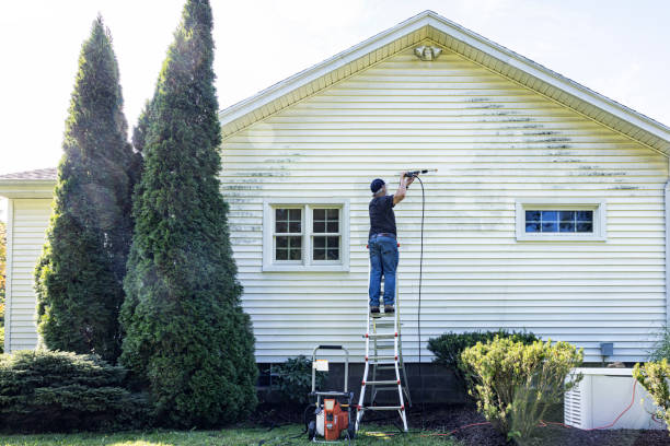 Best Gutter Cleaning  in Forestbrook, SC